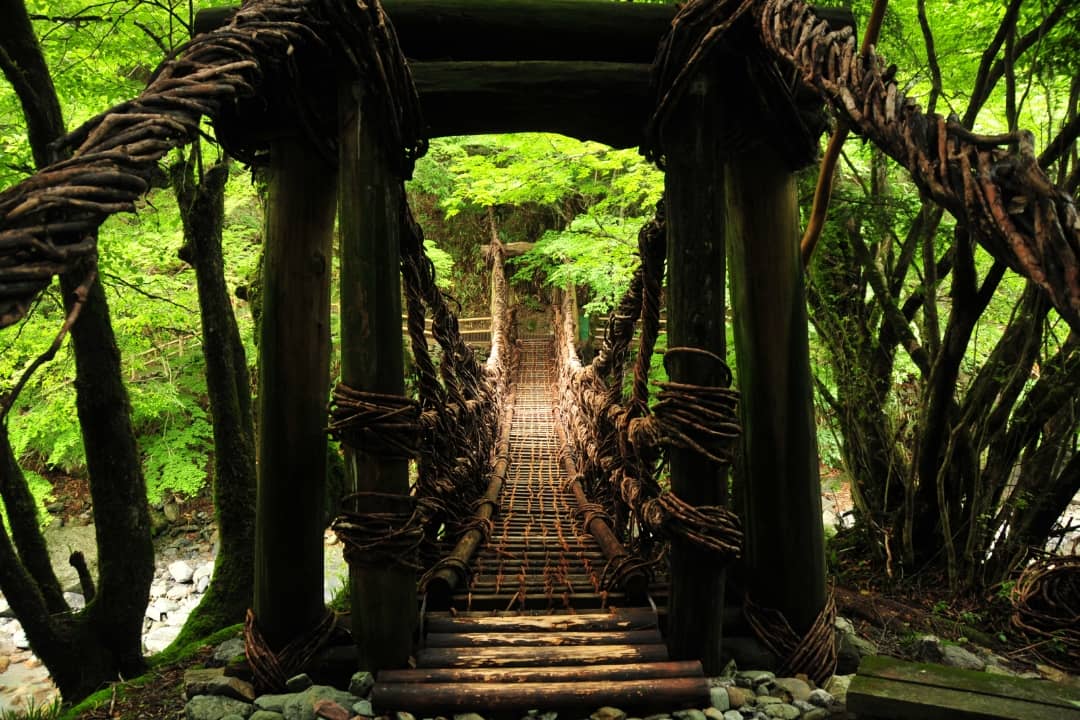 Iya Kazurabashi Suspension Bridge