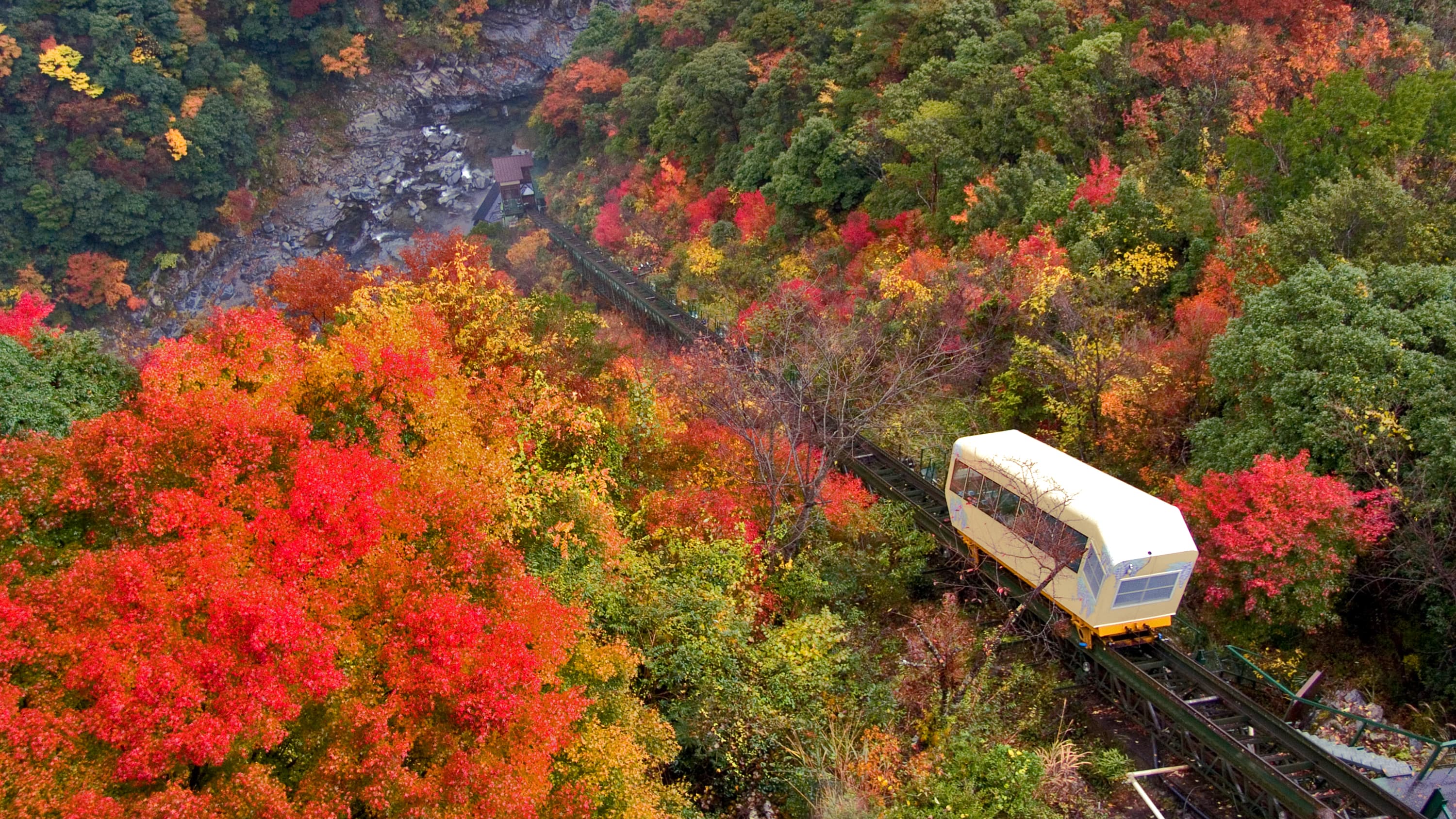 IYAONSEN